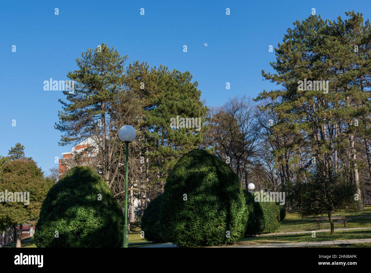 Niska Banja, Serbie - février 11. 2022 Parc avec des conifères et de grands arbustes et la lune dans le ciel dans une station thermale le jour ensoleillé de février Banque D'Images