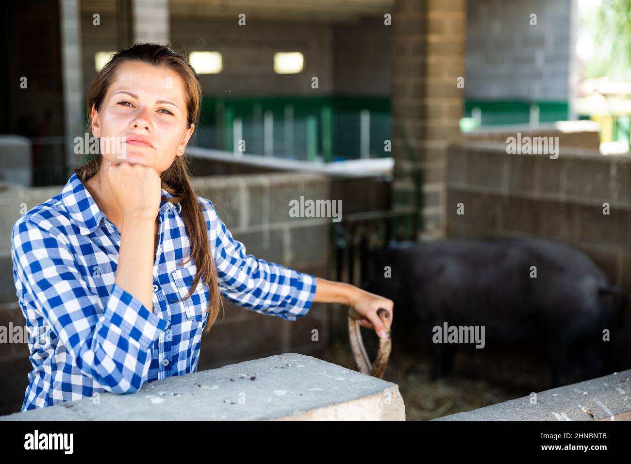 Portrait of female farmer nourrir les porcs ibériques sur farm Banque D'Images