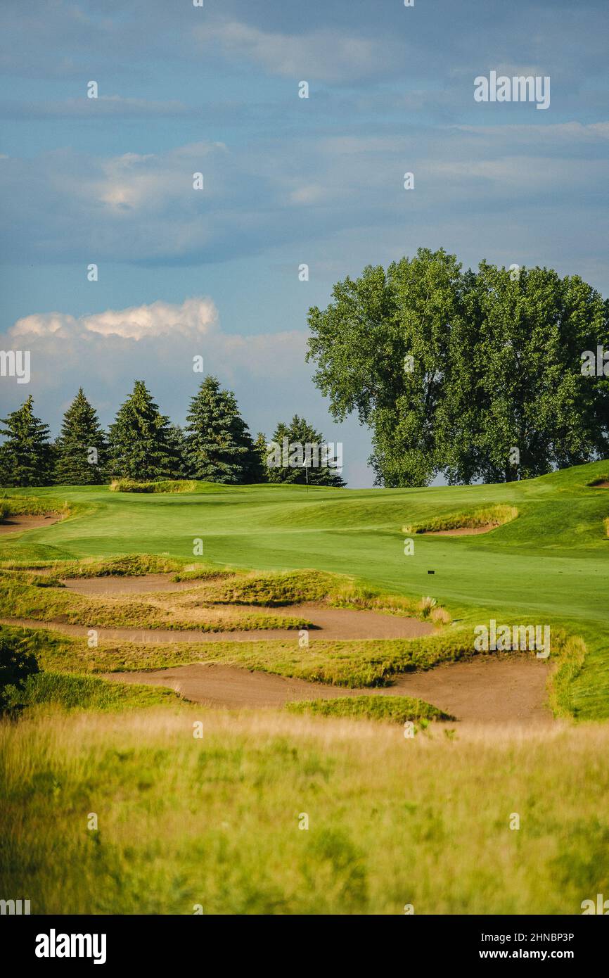 Photo verticale d'un fairway vert et des Bunkers d'un parcours de golf avec de grands fécuches Banque D'Images