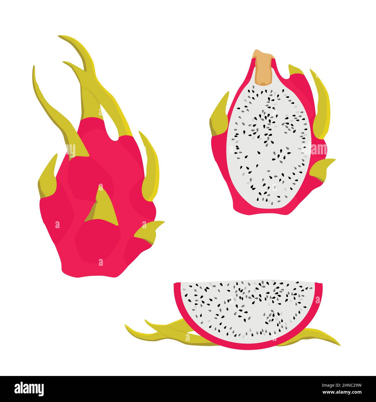 Délicieux fruits de dragon pitahaya coupés et entiers isolés sur fond blanc. Vecteur Illustration de Vecteur