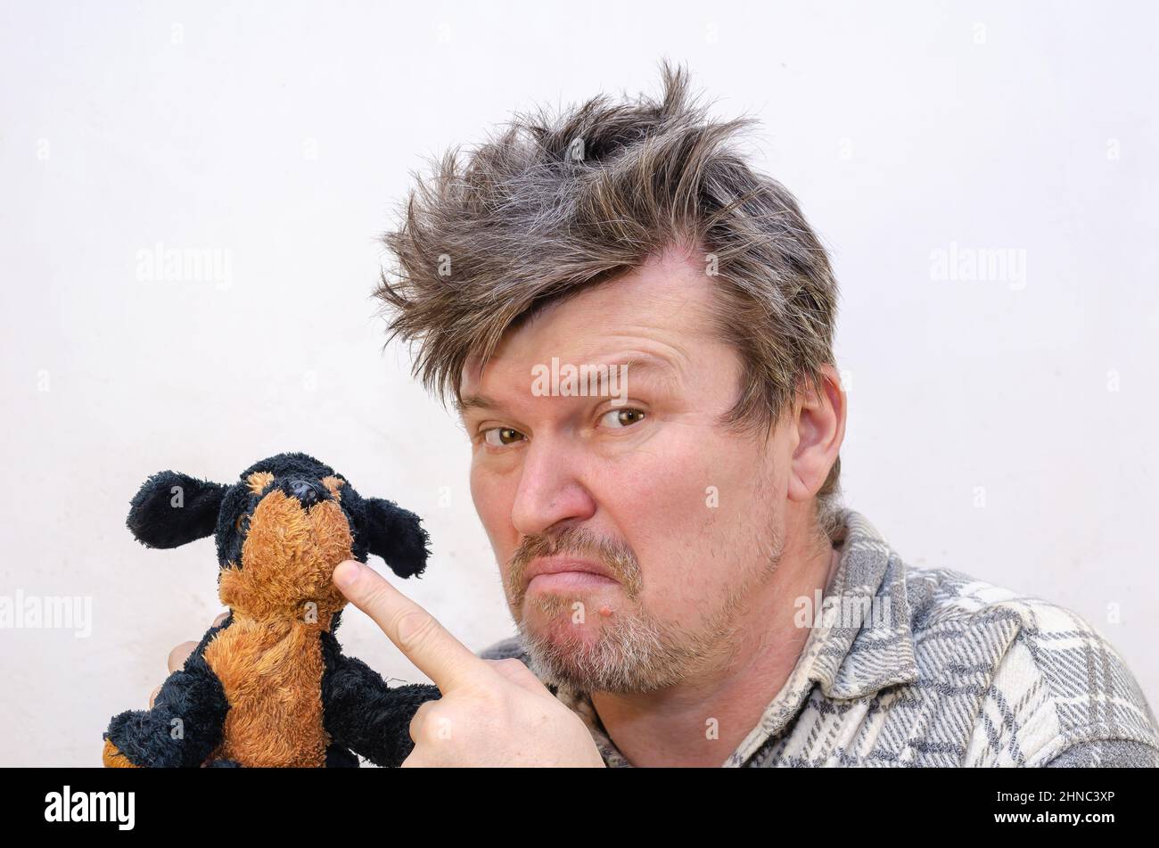 Portrait d'un homme comique tenant un jouet de chien. Un homme avec des cheveux emmêlés et démêlés pointe son doigt vers le jouet bourré. Intérieur. Mise au point sélective. Banque D'Images