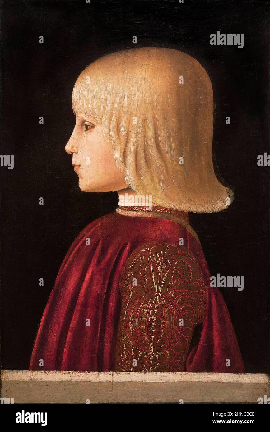 Piero della Francesca. Portrait d'un garçon. (Guidobaldo Da Montefeltro?). 1483. Température sur le panneau. 41 x 27,5 cm. Banque D'Images