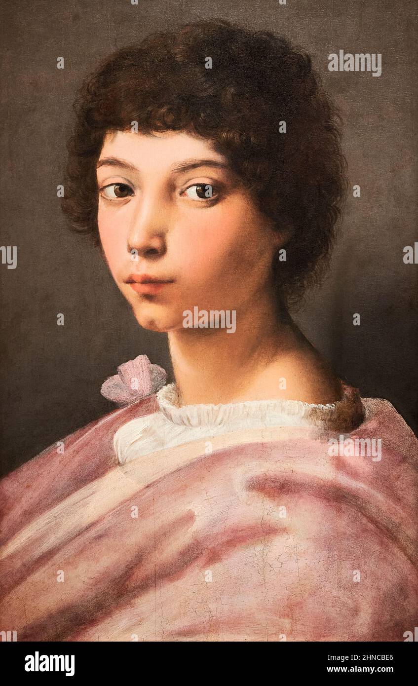 Raphael et collaborateur. Portrait d'un jeune homme ca. 1518 - 1519. Huile sur le panneau. 43,8 x 29 cm Banque D'Images