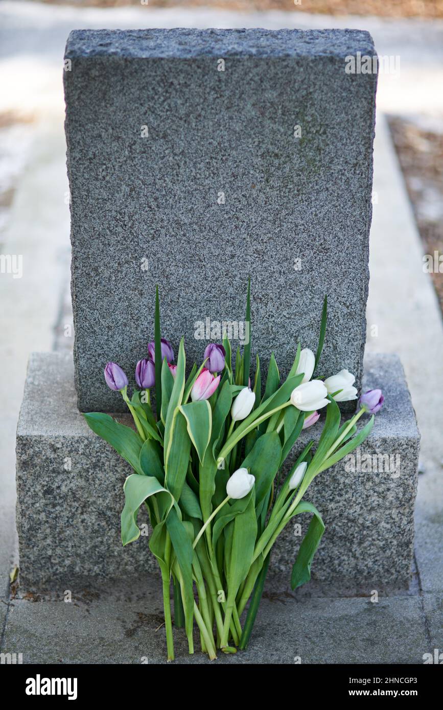 Des fleurs pour la botée sont partis. Photo d'une pierre tombale dans un cimetière. Banque D'Images