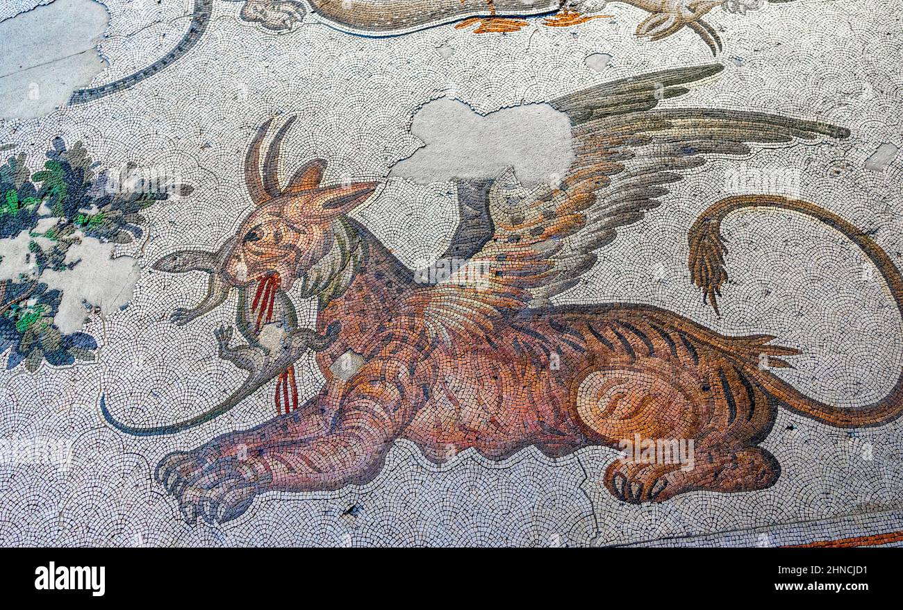 Mosaïque représentant un griffon mangeant un lézard de la période byzantine au Grand Palais de Constantinople. Musée des mosaïques du grand palais. Istanbul. Banque D'Images