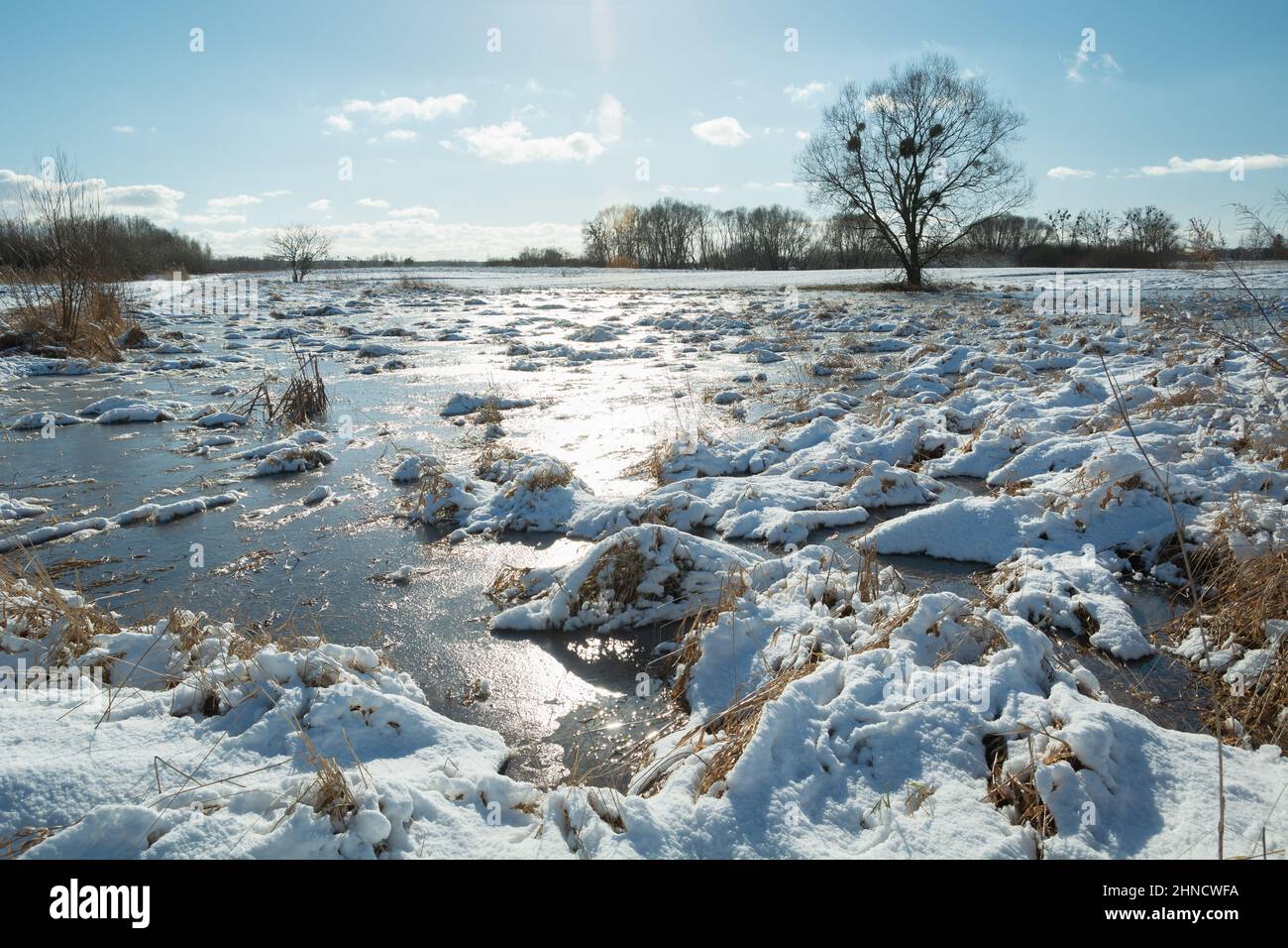 Lumière du soleil dans l'eau gelée sur la prairie, hiver jour ensoleillé, Zarzecze, Pologne Banque D'Images