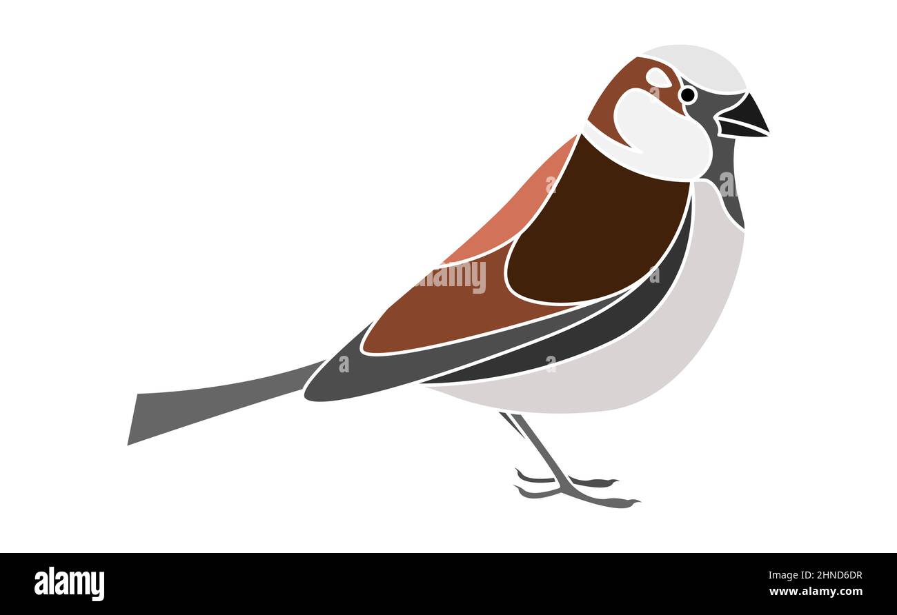 Oiseau de Bruant isolé sur fond blanc EPS10 Illustration de Vecteur