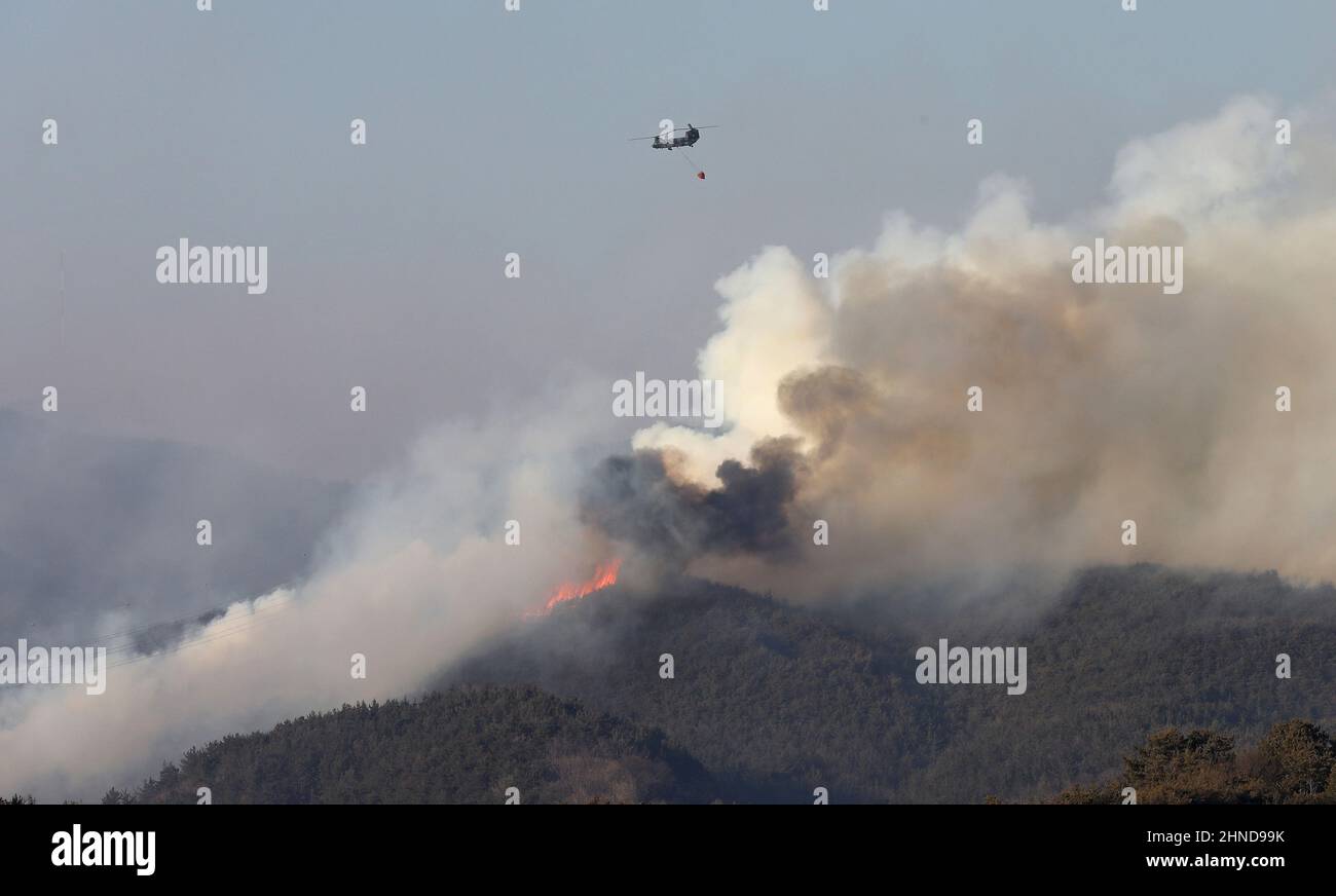 (220216) -- YEONGDEOK, 16 février 2022 (Xinhua) -- photo prise le 16 février 2022 montre un grand hélicoptère de transport qui larme de l'eau sur un feu de forêt sur une montagne de Yeongdeok, à quelque 350 km au sud-est de la capitale Séoul, en Corée du Sud. Un incendie de forêt a éclaté dans la ville côtière sud-est de la Corée du Sud, et environ 180 ménages ont été évacués, a rapporté l'agence de presse Yonhap mercredi. (NEWSIS/document via Xinhua) Banque D'Images