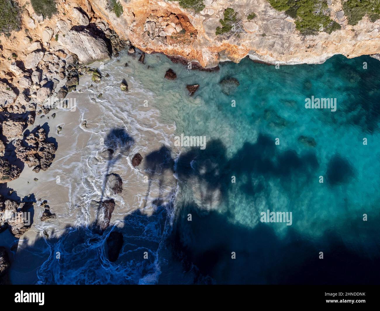 Ombre de pins, Caló d es Moro, Santanyi, Majorque, Iles Baléares, Espagne Banque D'Images