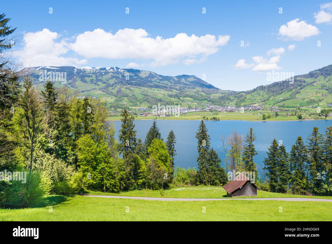 Paysage pastoral apaisant d'été. Campagne suisse. Canton de Schwyz Banque D'Images