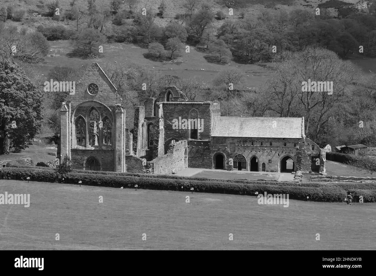 L'abbaye de Valle Crucis est une abbaye cistercienne située à Llantysillio dans le Denbighshire, fondée en 1201 par le prince Madog ap Gruffydd Banque D'Images