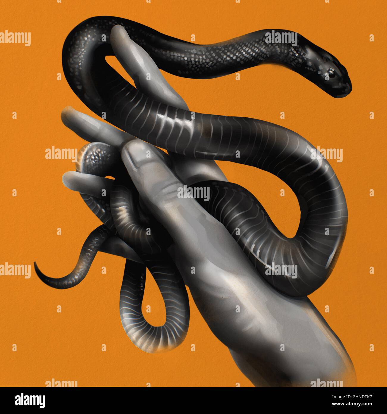 Serpent main tatouage art illustré peinture numérique semi-réalisme anatomique d'art contemporain peint en gras. Illustration graphique dessinée à la main. Banque D'Images
