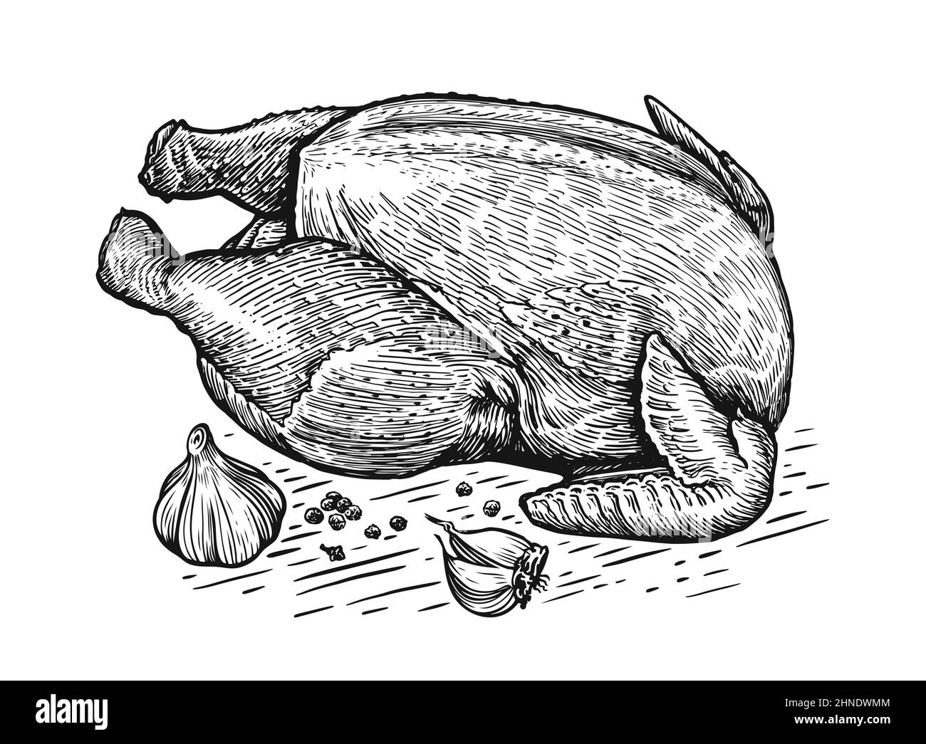 Poulet cru ou dinde, tiré à la main. Carcasse de volaille, vecteur de viande de poulet à griller. Croquis d'illustration vintage pour les bouchers ou les produits agricoles Illustration de Vecteur