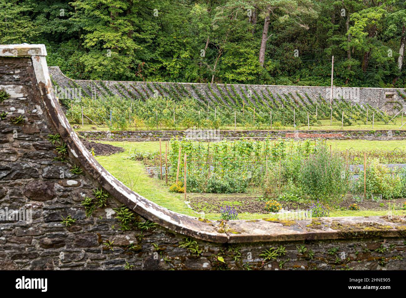 Le jardin clos du domaine du château de Torrisdale sur la péninsule de Kintyre, Argyll & Bute, Écosse, Royaume-Uni Banque D'Images