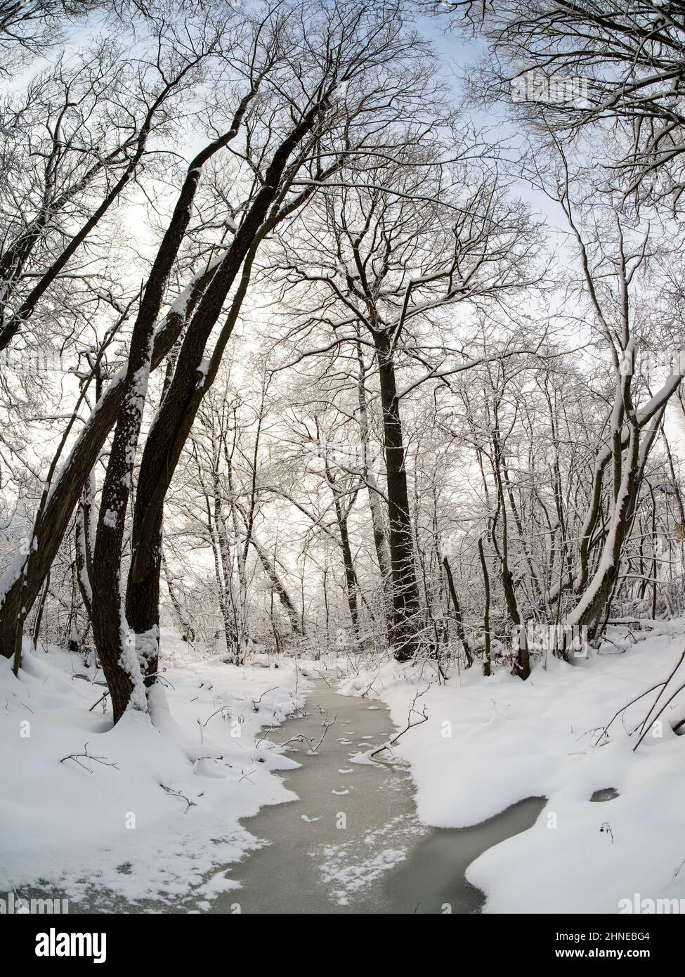 Paysage d'hiver dans le pays par une journée ensoleillée Banque D'Images