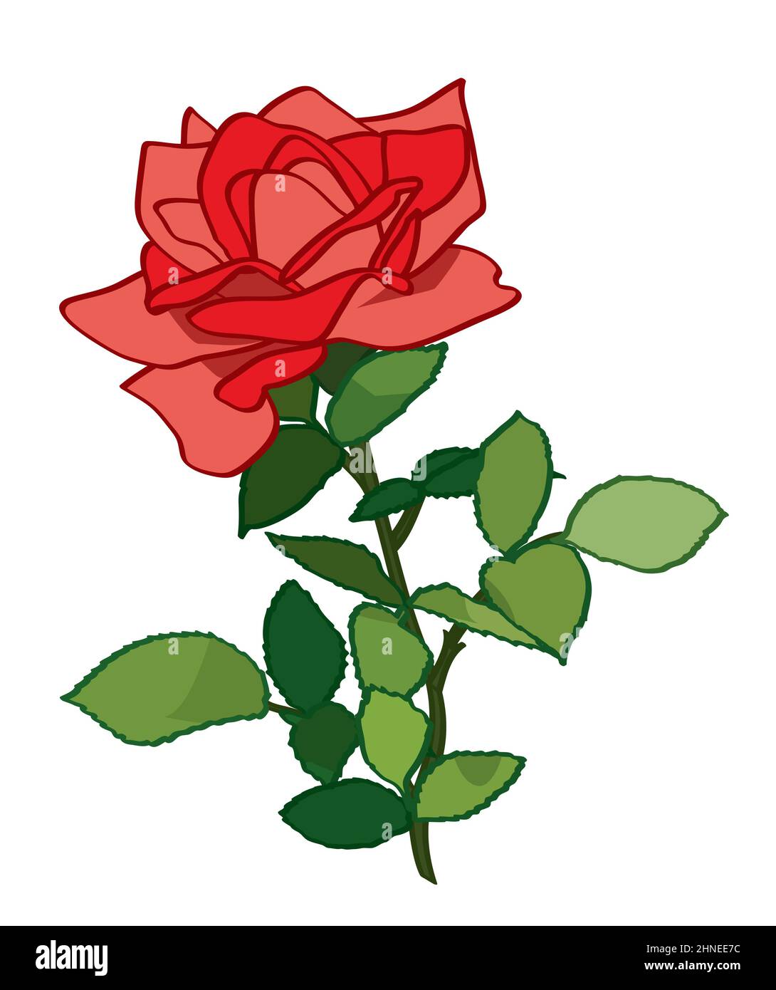 rose rouge - illustration vectorielle de la plante Illustration de Vecteur