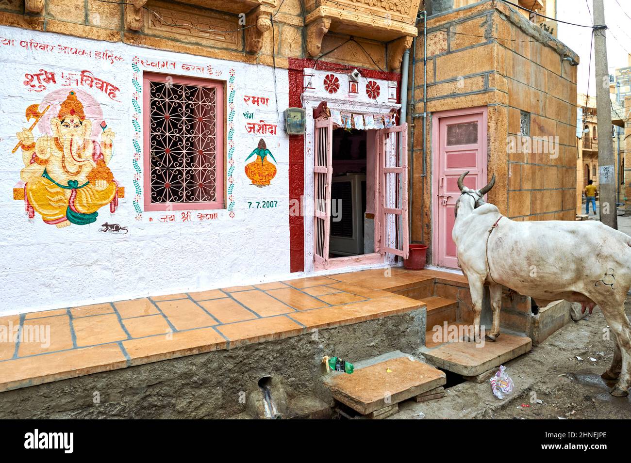 Inde Rajasthan jaisalmer. Une vache dans les rues Banque D'Images