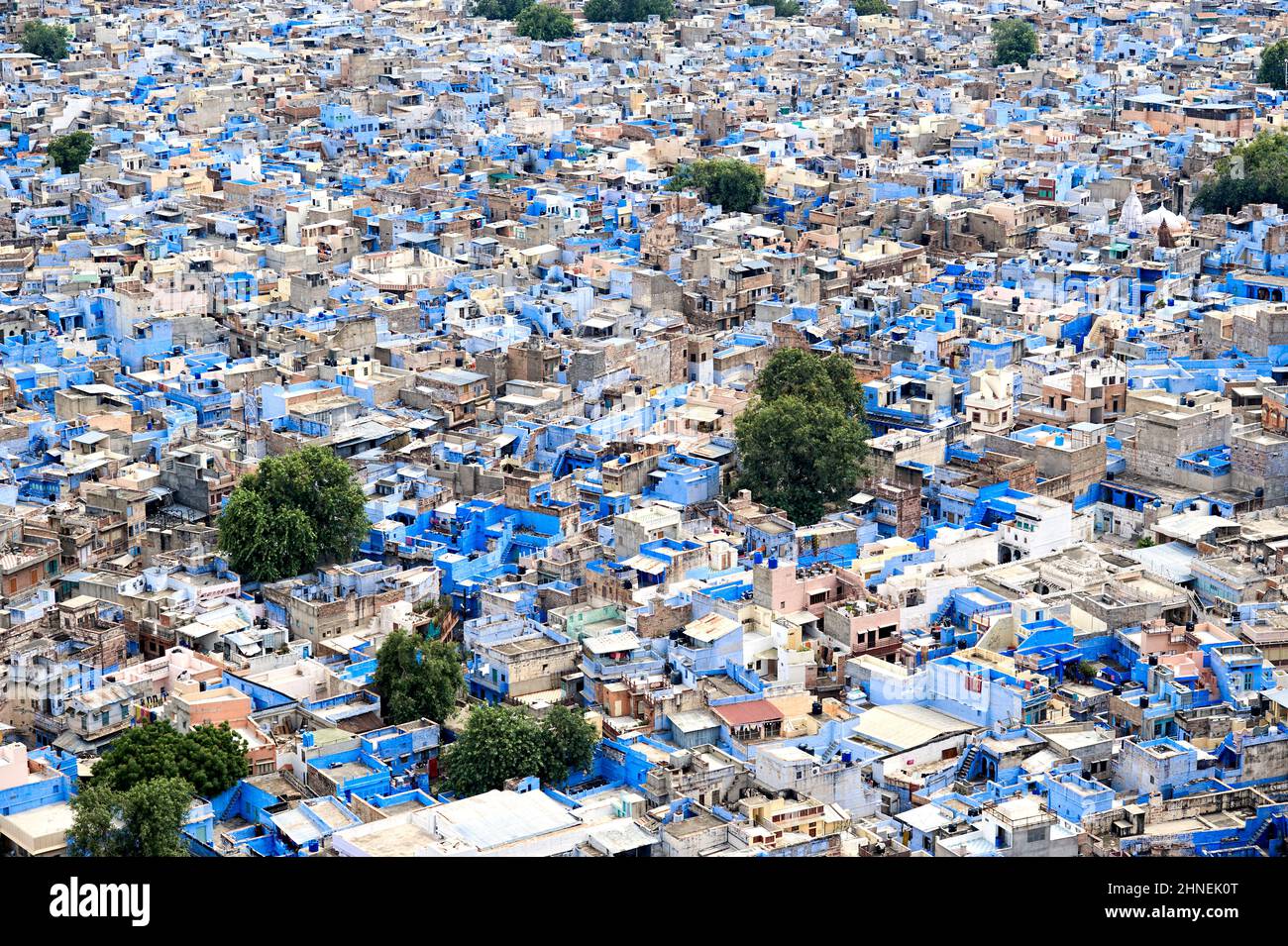 Inde Rajasthan Jodhpur. Paysage urbain de la ville bleue Banque D'Images