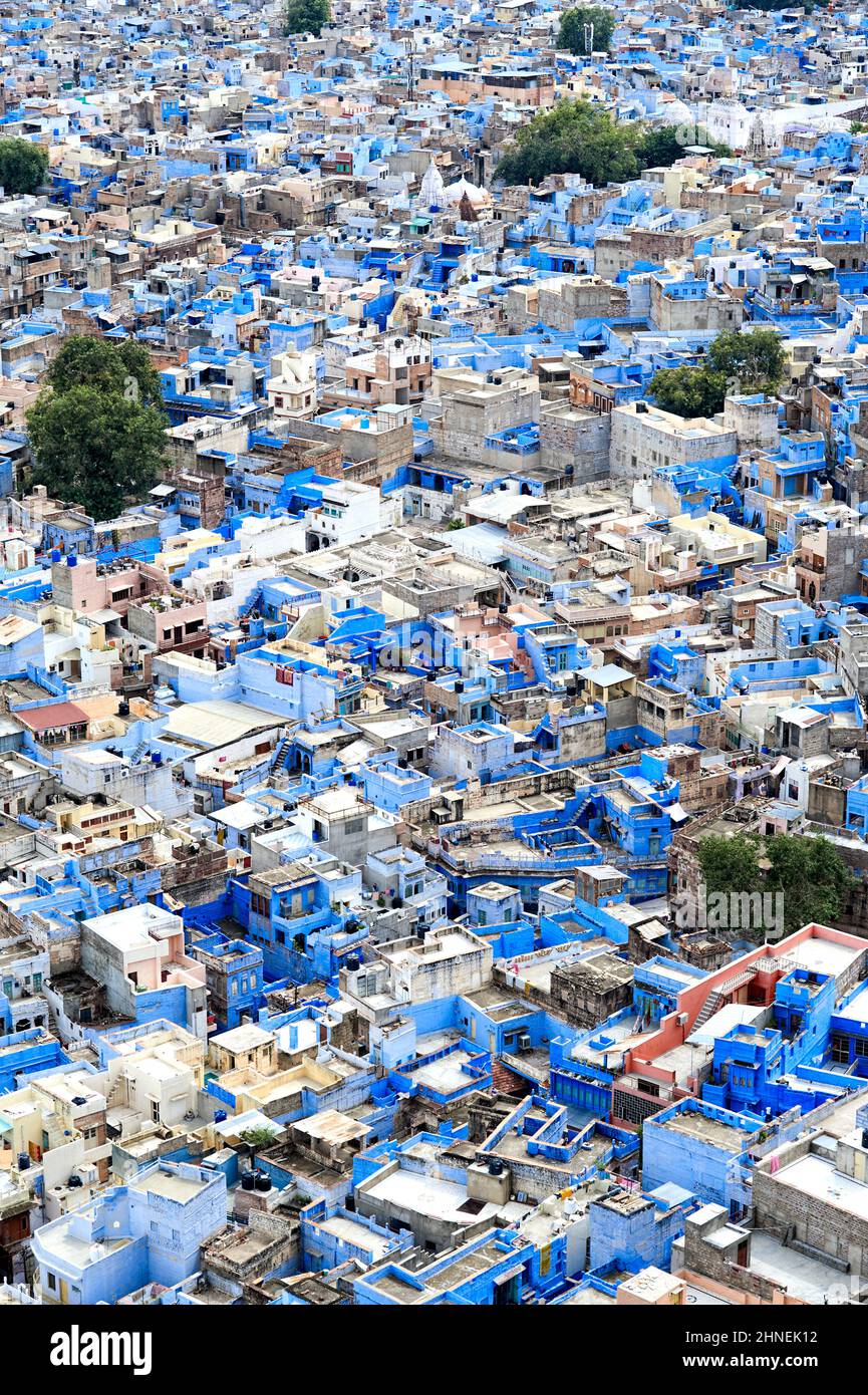 Inde Rajasthan Jodhpur. Paysage urbain de la ville bleue Banque D'Images