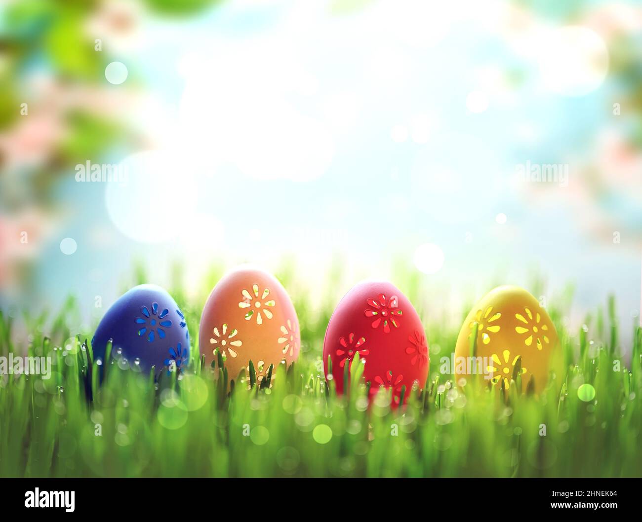 Oeufs de Pâques dans l'herbe contre le bleu flou fleur de fond. Concept vacances de printemps. Banque D'Images