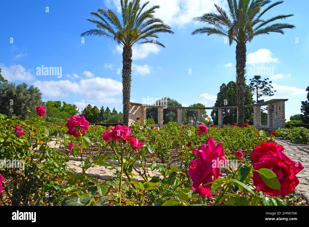 GAN HaNadiv  jardin du Benefactor Rothschild, près de Zichron Yaakov, Israël. Banque D'Images