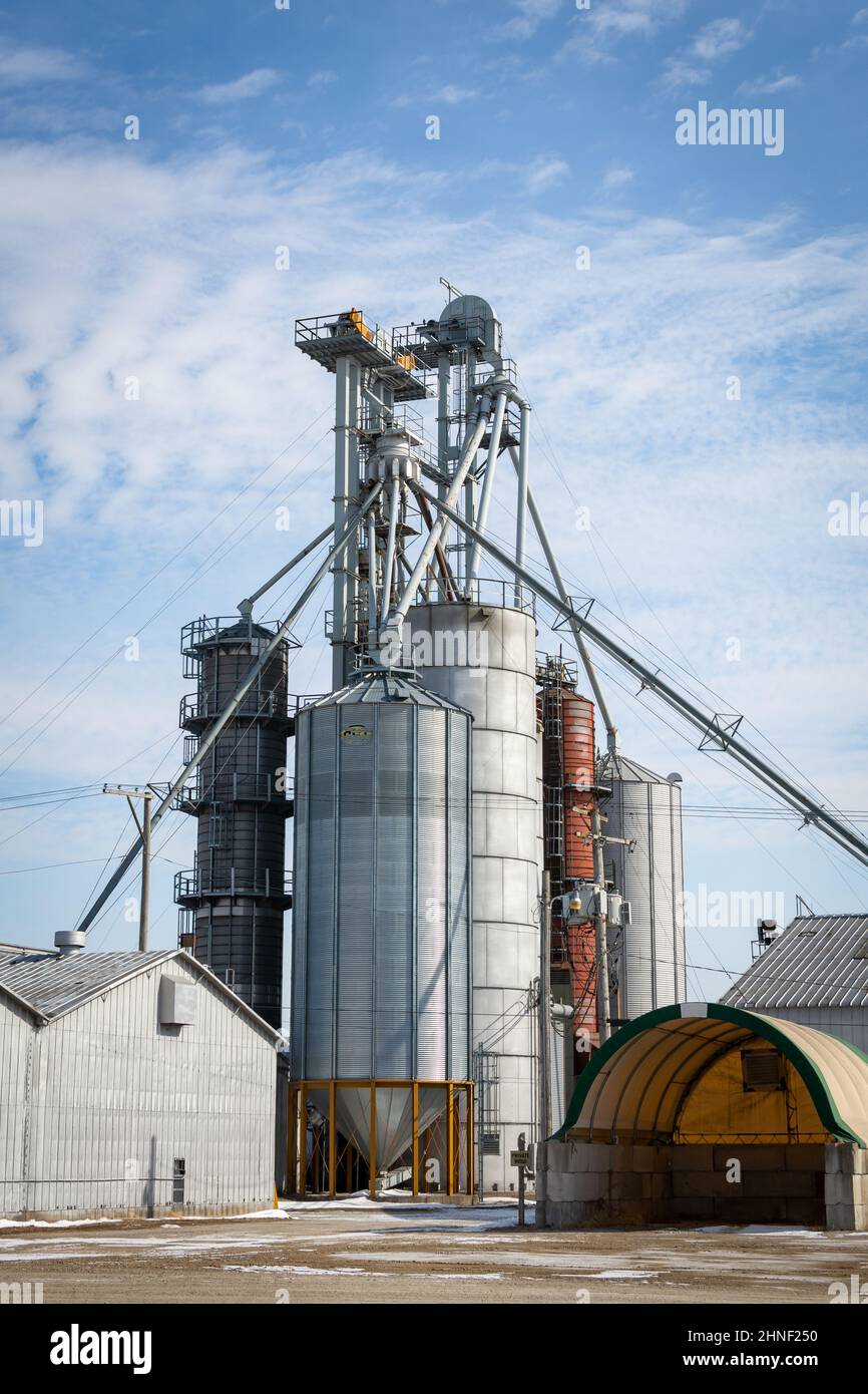 élévateur de grain avec ciel bleu derrière. Comté de LaSalle, Illinois, États-Unis. Banque D'Images