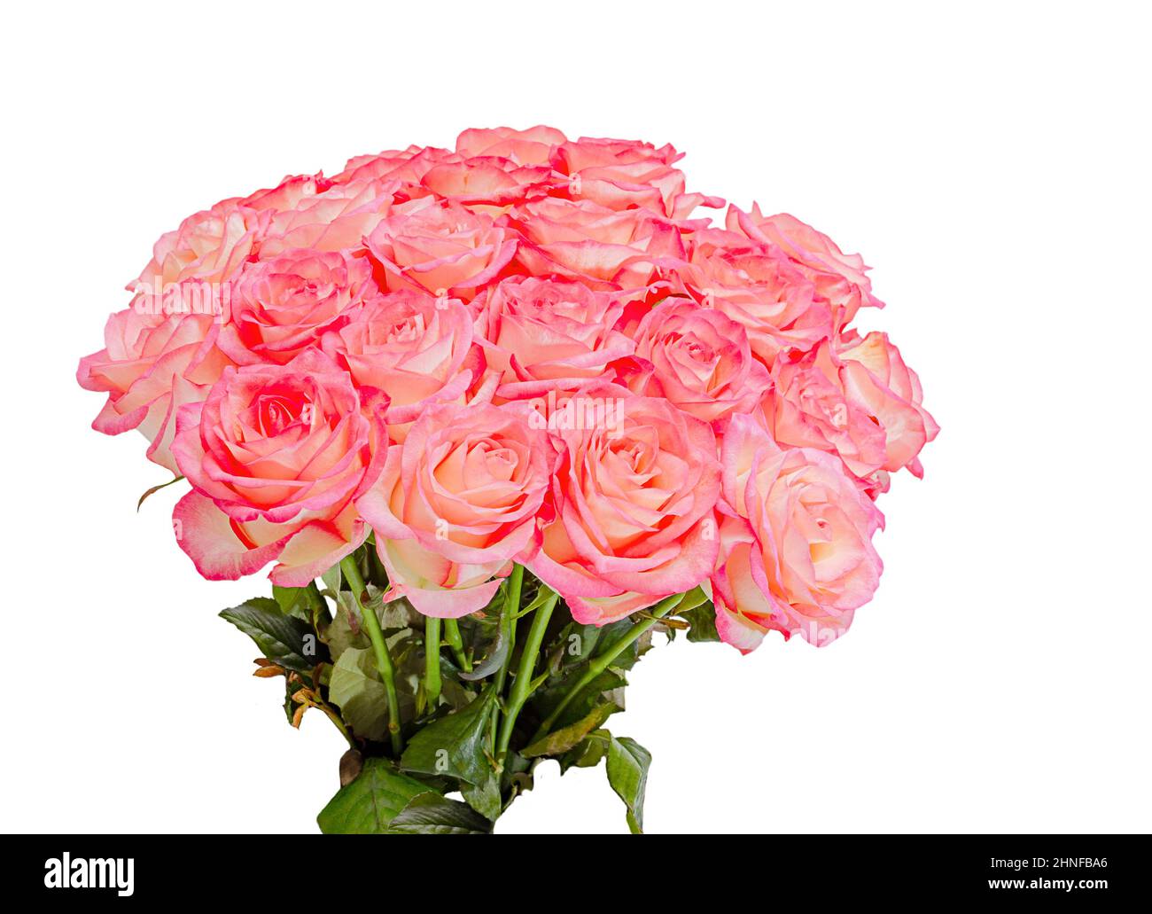 fleurs roses naturelles en bouquet isolé sur fond blanc Banque D'Images