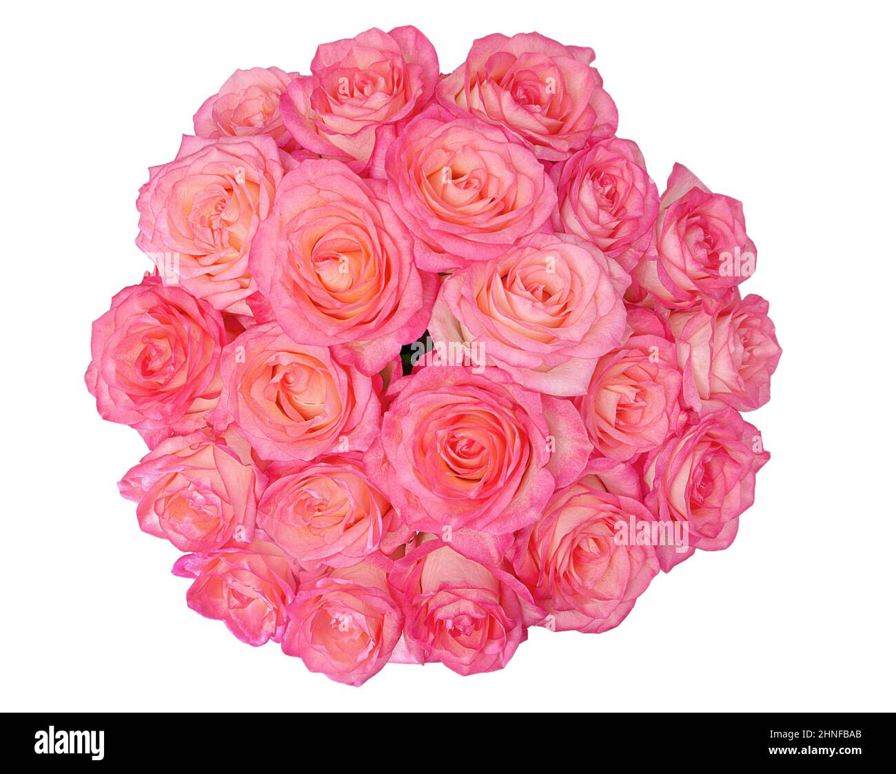 fleurs roses dans un bouquet isolé sur fond blanc Banque D'Images