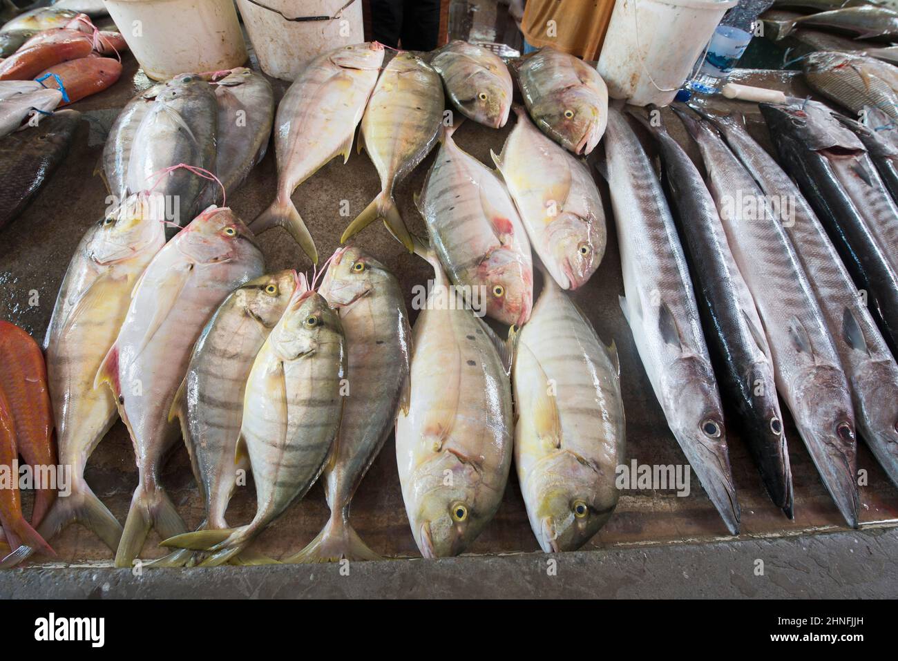 Marché aux poissons à Sir Selwyn Selwyn-Clarke Merket, Victoria, Seychelles Banque D'Images