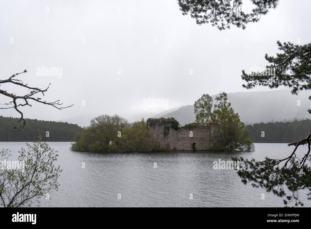 Ruine sur l'île, château du Loch an Eilean, lac an Eilein loch, Speytal, Aviemore, Highland, Écosse, Grande-Bretagne, Royaume-Uni Banque D'Images