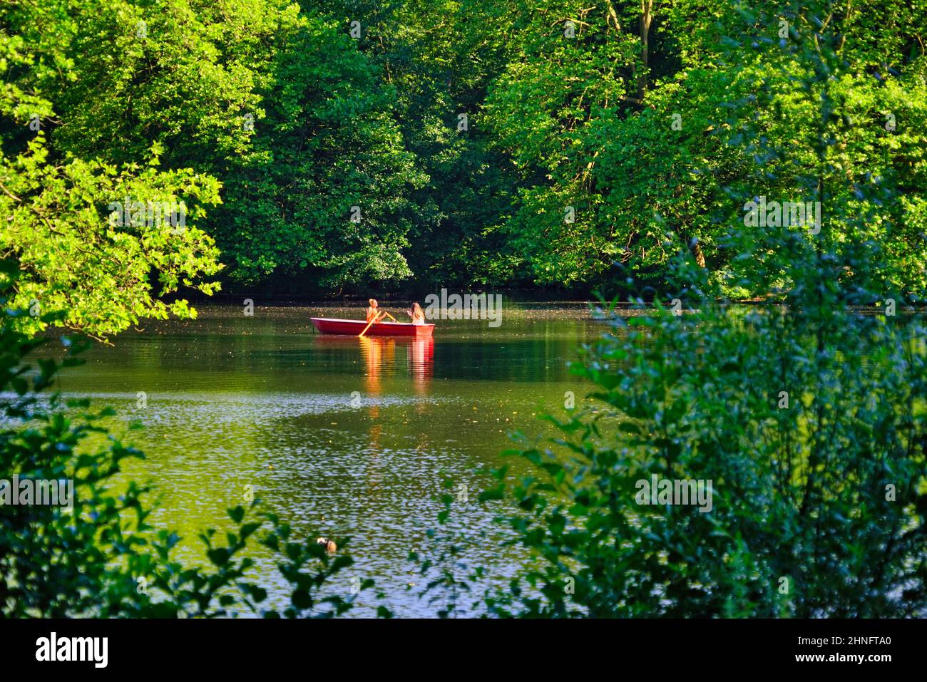 Ruderboot auf dem Neuen See im Tiergarten, Berlin, Allemagne Banque D'Images