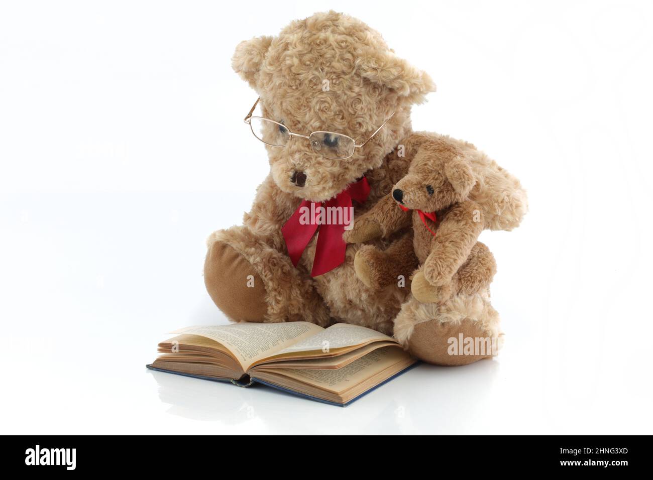 Les ours en peluche lisent un concept de parent de livre Banque D'Images