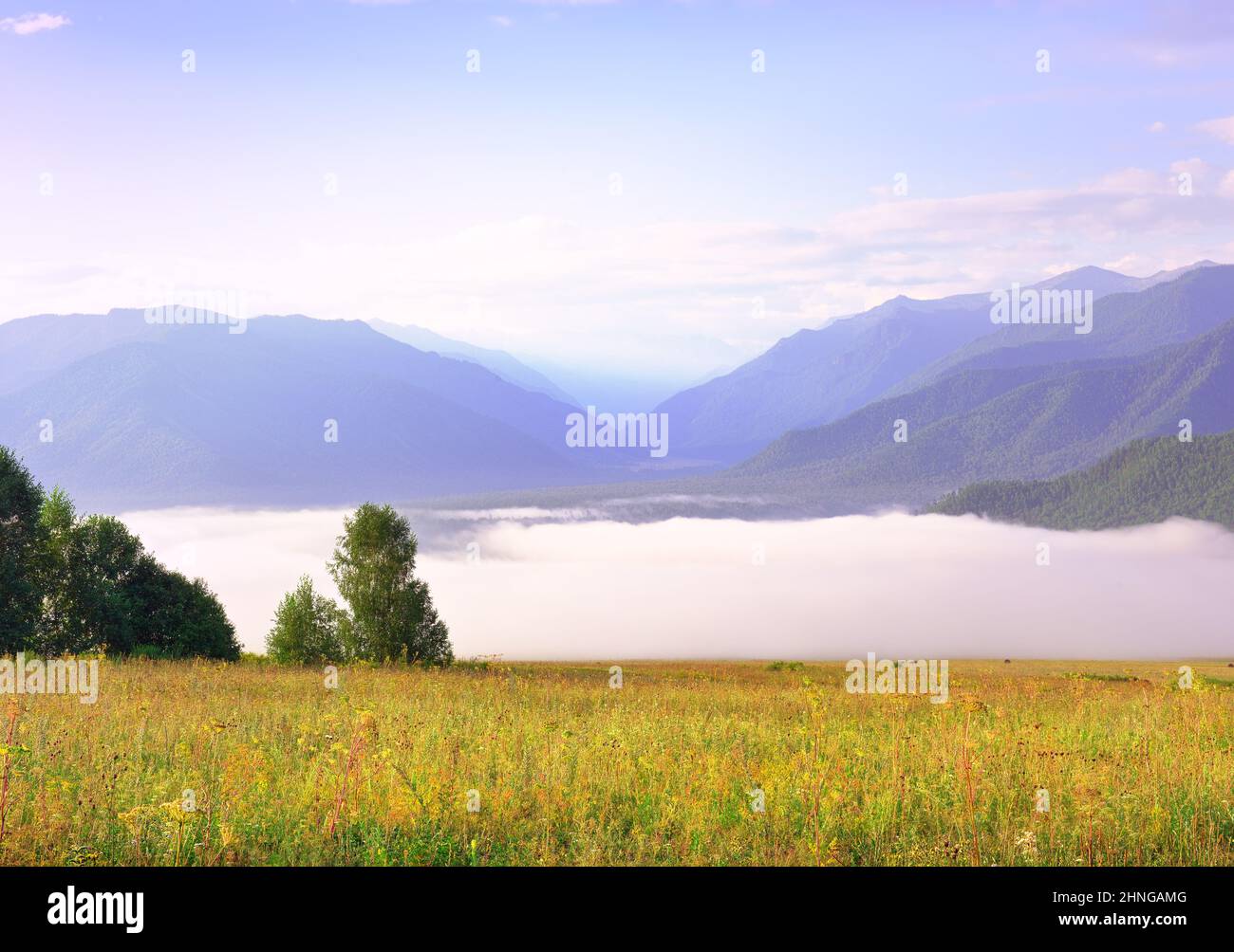 Un pré vert sur fond de montagnes bleues sous le ciel du matin. Sibérie, Russie Banque D'Images