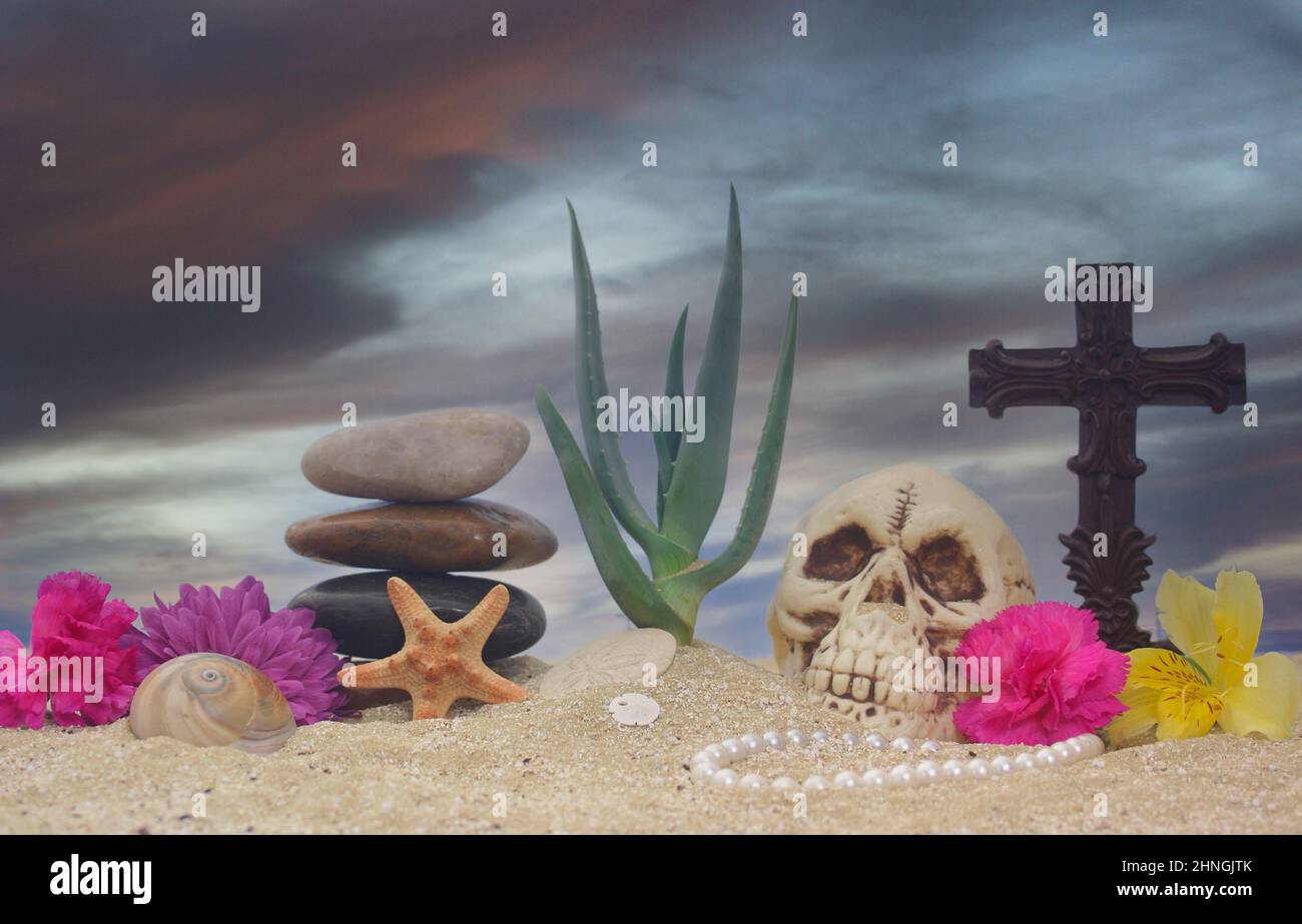 Plante d'aloès avec fleurs et crâne sur sable avec ciel Banque D'Images