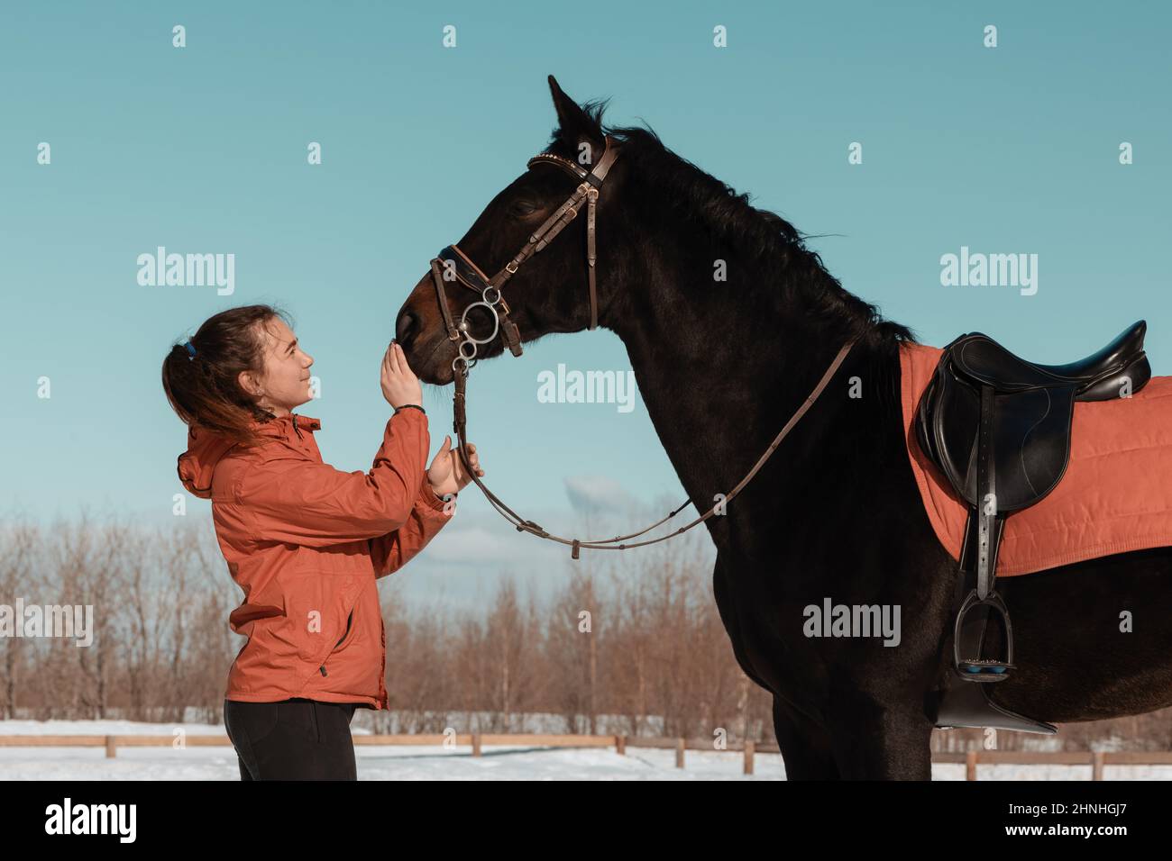 Femme et cheval debout face à face sur l'arène d'entraînement en hiver. Banque D'Images