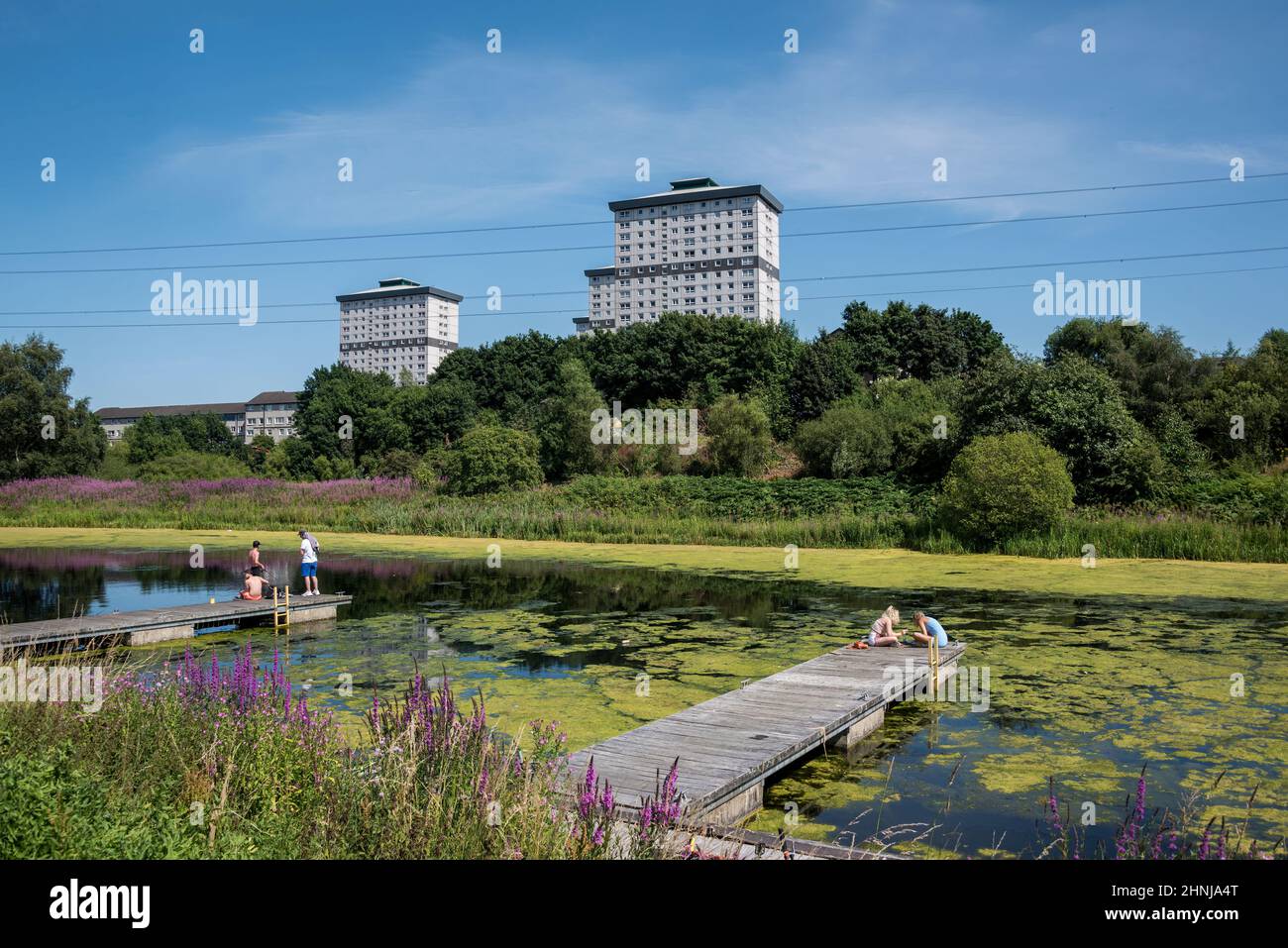 Vue sur le canal Forth & Clyde, Glasgow, Écosse avec jetées en premier plan et les appartements High Rise en arrière-plan. Banque D'Images
