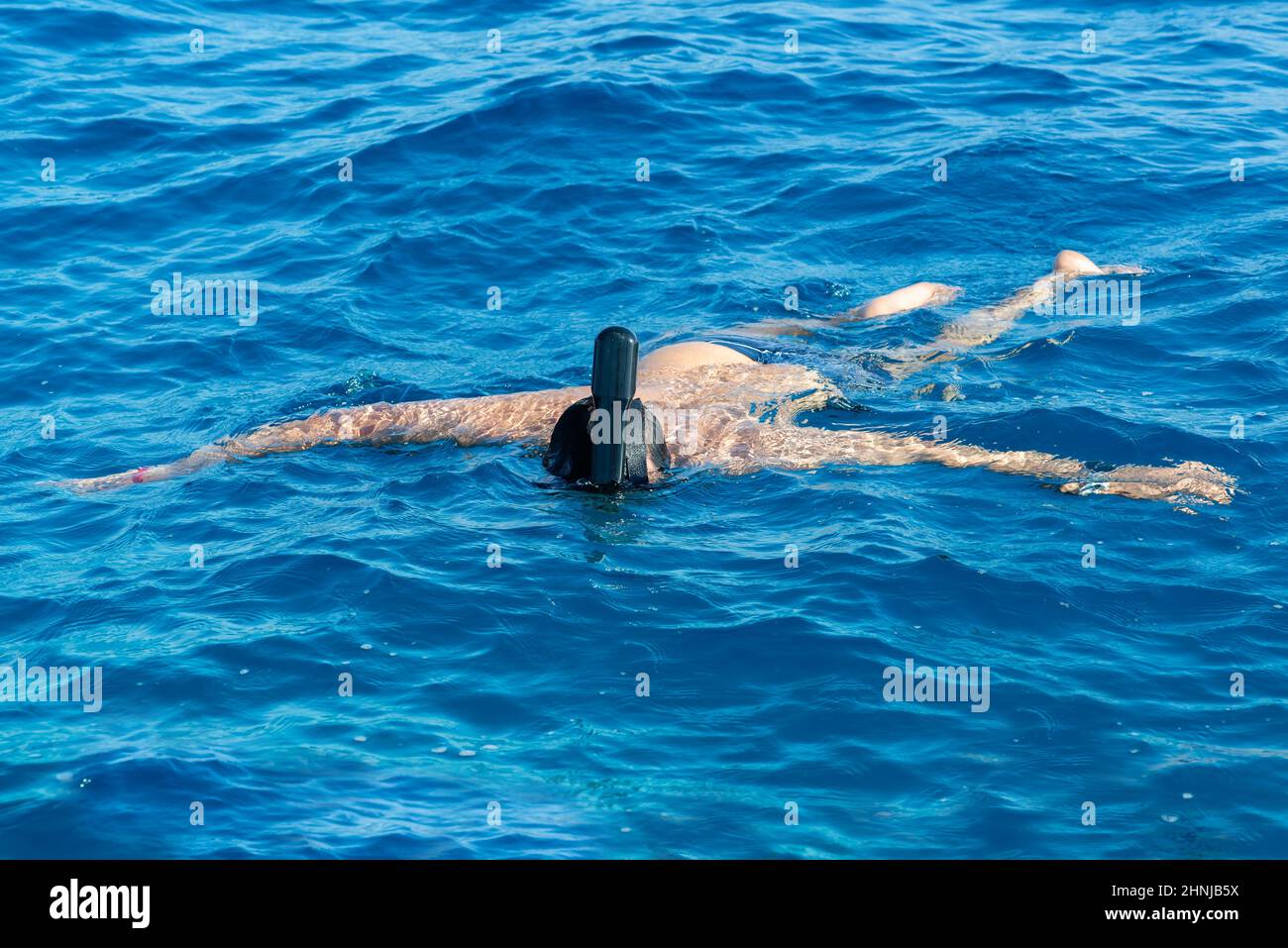 Plongée en apnée, masque complet, activités vacances d'été, baignade dans la mer tropicale chaude Banque D'Images