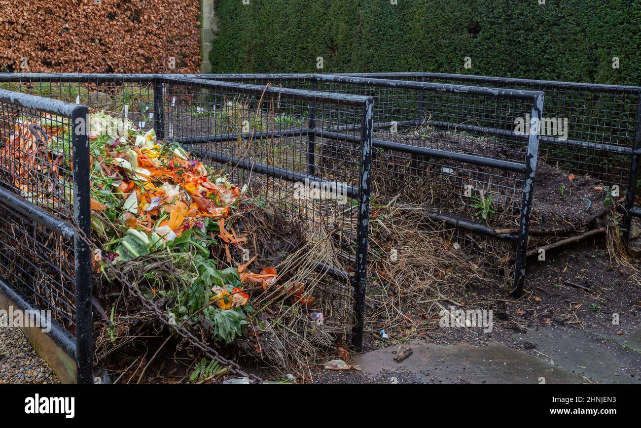 Compostage de légumes et d'autres matières organiques dans un fil, ouvrez le bac à compost. Banque D'Images