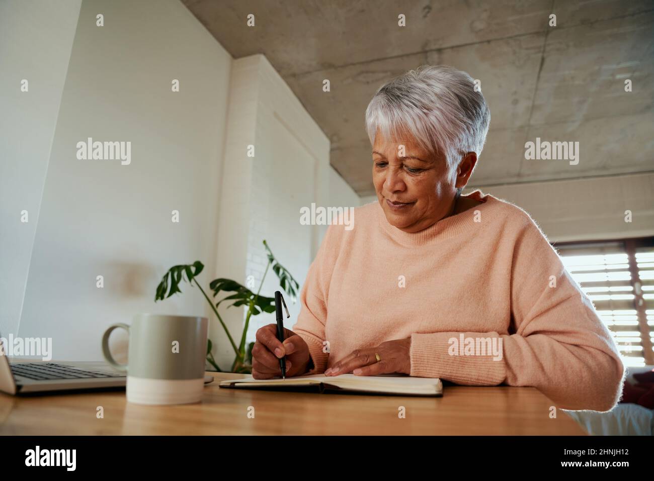Contenu multiethnique féminin âgé tout en écrivant dans son ordinateur portable avec son stylo devant l'ordinateur portable. Assis au comptoir à la maison. Banque D'Images