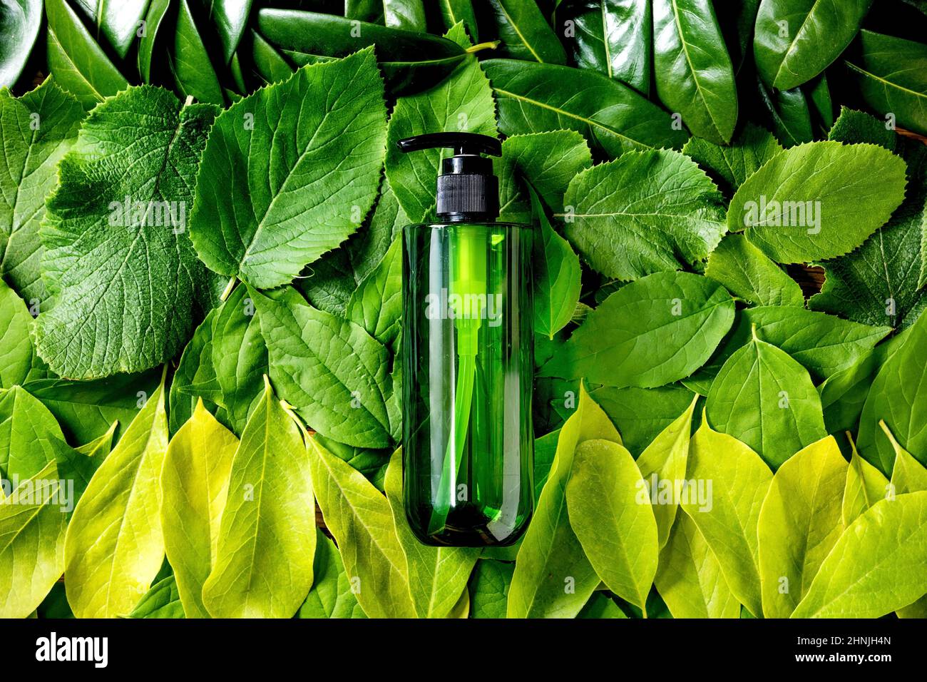Flacon vide en plastique vert pour savon sur fond de feuilles vertes, dégradé vert. Présentation écologique des produits cosmétiques. Emplacement pour l'étiquette. C Banque D'Images