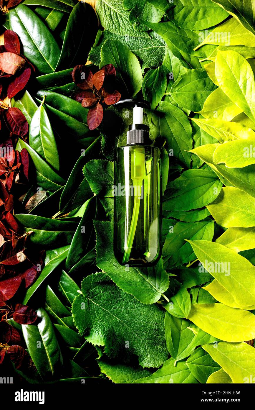 Flacon en plastique vert vide pour savon sur fond de feuilles rouges vertes, dégradé vert. Présentation écologique des produits cosmétiques. Place pour le labe Banque D'Images