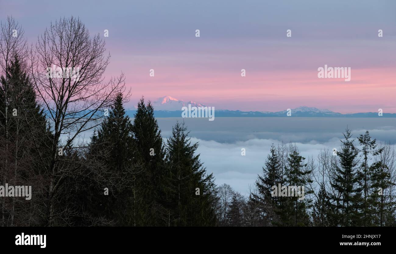 Canadian nature View of Evergreen Trees on a Mountain above the Clouds. Banque D'Images