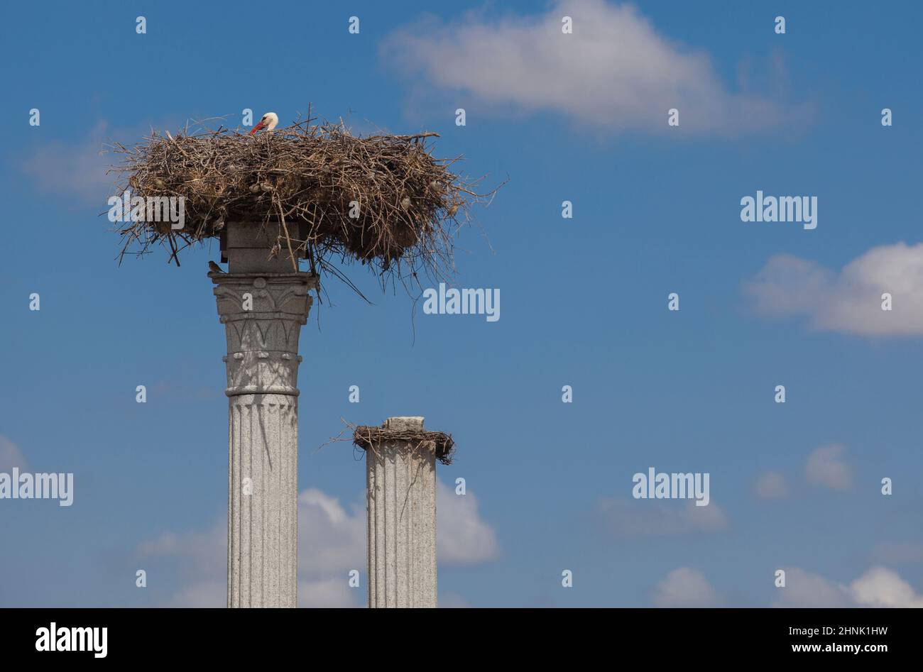 Distyle de Zalamea réplique avec nid de cigognes sur le dessus. Rond-point monument près de Quintana de la Serena, Extremadura, Badajoz, Espagne Banque D'Images