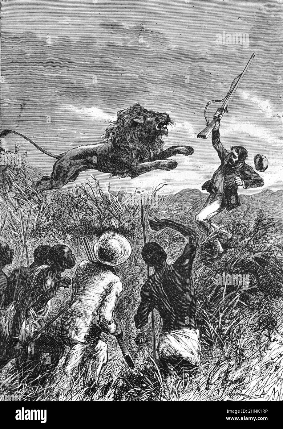 David Livingstone attaqué par Lion le 16 février 1844 à Mabotsa, au Botswana, en Afrique. Sa vie a été sauvée bu Mebalwe, un diacre africain et un missionnaire. Illustration ancienne ou gravure 1883 (Castelli) Banque D'Images
