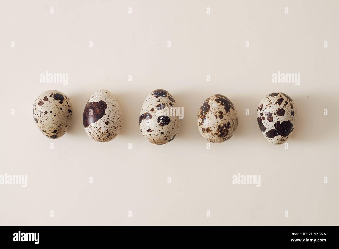 Rangée de petits œufs de caille mouchetés sur fond blanc avec espace de copie conceptuel de Pâques Banque D'Images
