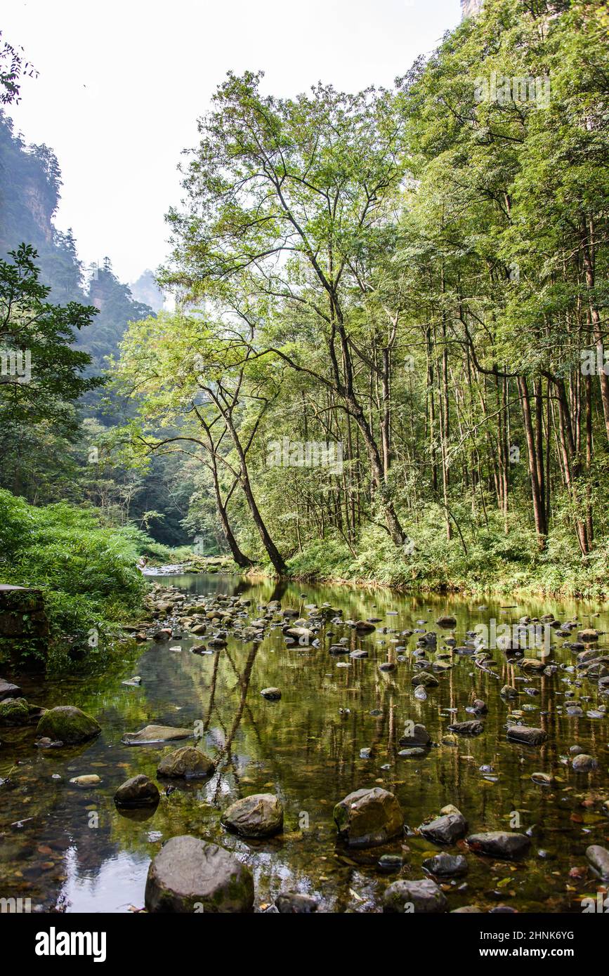 Rivière dans la zone pittoresque de Wulingyuan Banque D'Images