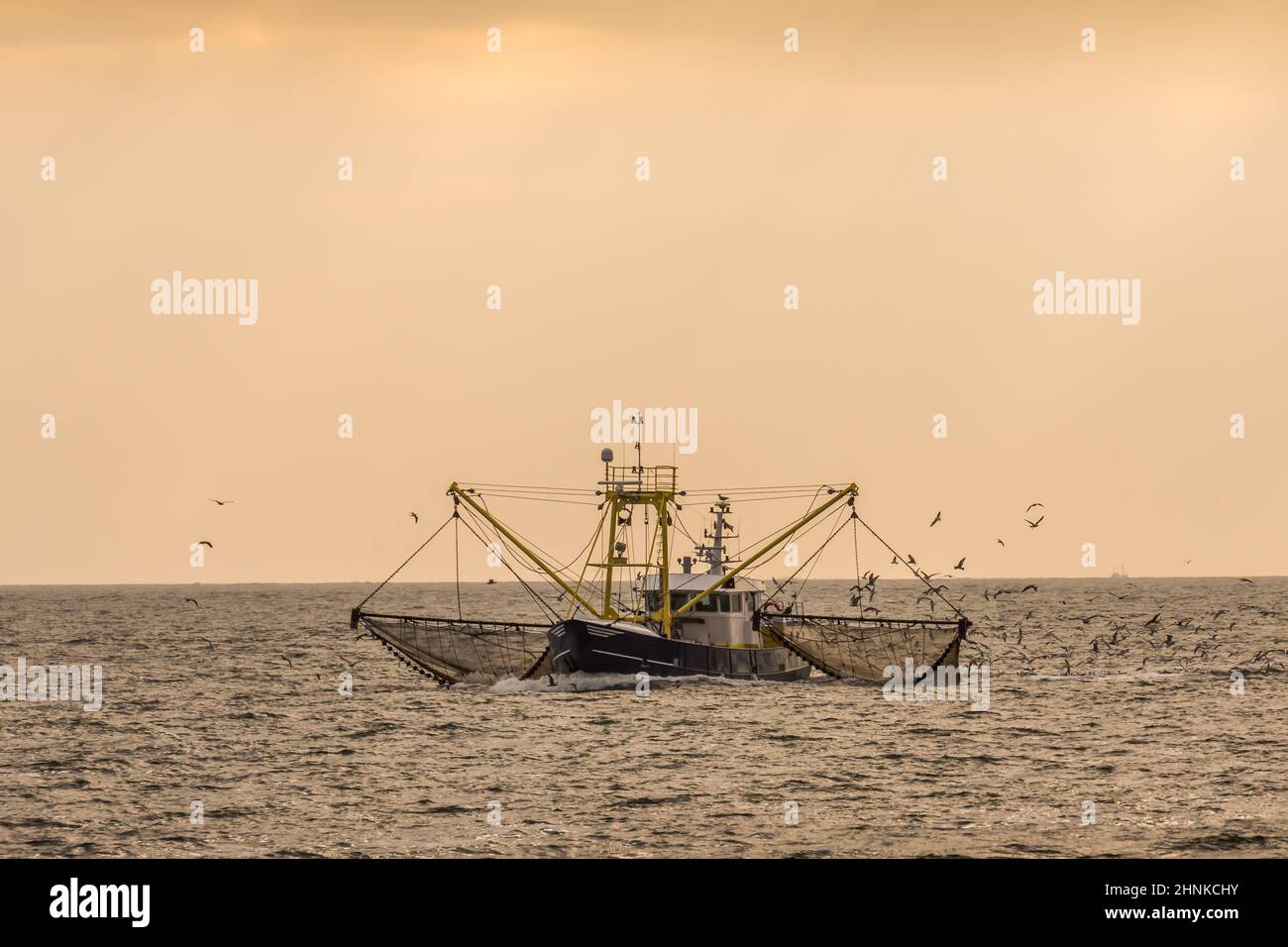 Chalutier avec pêche à la dragnette dans la mer des Wadden, Buesum, Mer du Nord, Schleswig-Holstein, Allemagne Banque D'Images