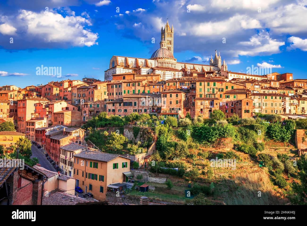 Sienne, Italie. Paysage d'été de Sienne, une belle ville médiévale en Toscane, avec vue sur le Dôme de la cathédrale de Sienne. Banque D'Images