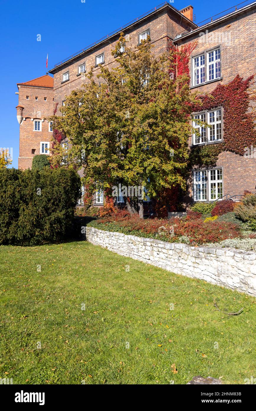 Cracovie, Pologne - 25 octobre 2021 : Château royal de Wawel par un beau jour d'automne, façade de bâtiment avec des feuilles colorées de vin sauvage Banque D'Images