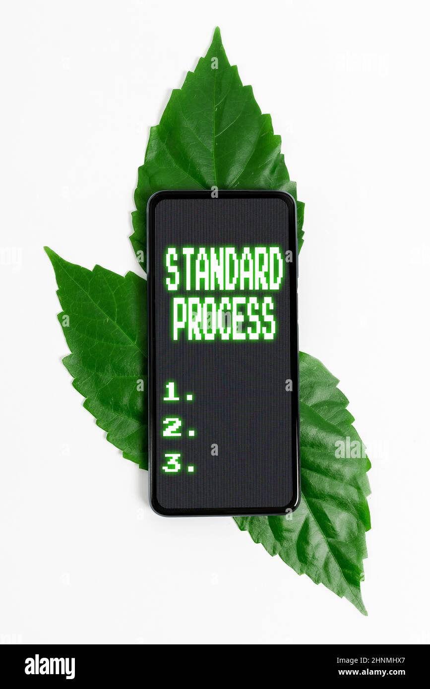 Légende conceptuelle processus standard, règles conceptuelles de la photo à mettre en correspondance avec la qualité du produit final économies d'idées et de plans d'environnement, création Banque D'Images